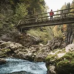 Gesaeuse-lodge * Gstatterboden