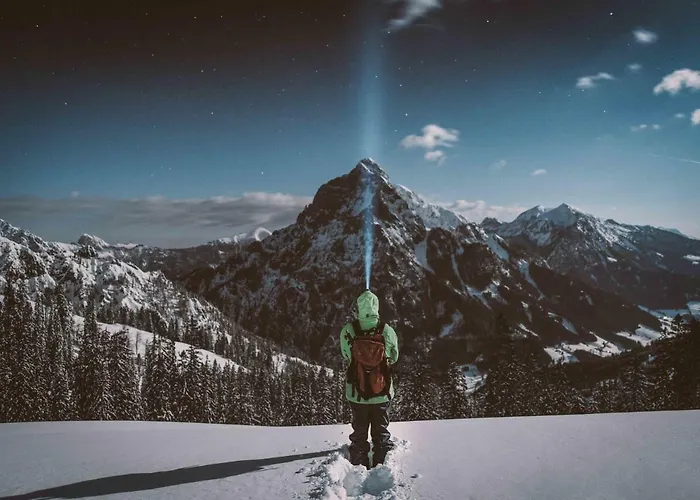 Gesaeuse-lodge بيت خشبي